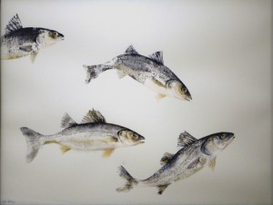 Poisson Bar Acrylique