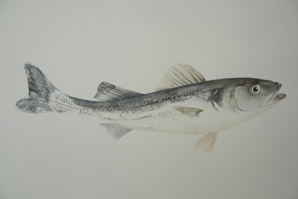 Poisson Bar Acrylique