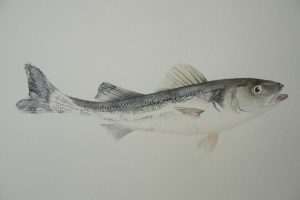 Poisson Bar Acrylique