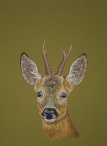 Chevreuil Brocard Pastel