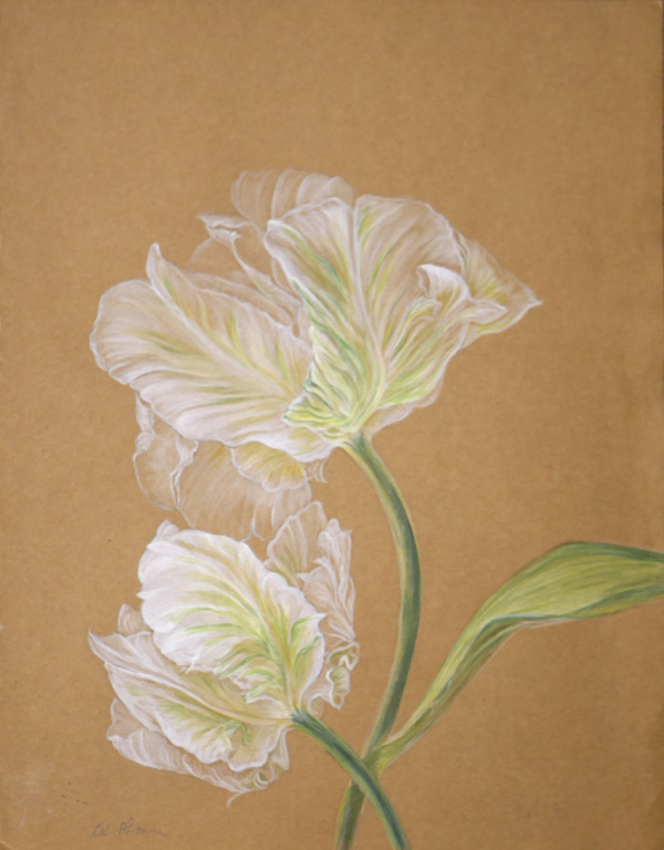 Fleur Tulipe Acrylique