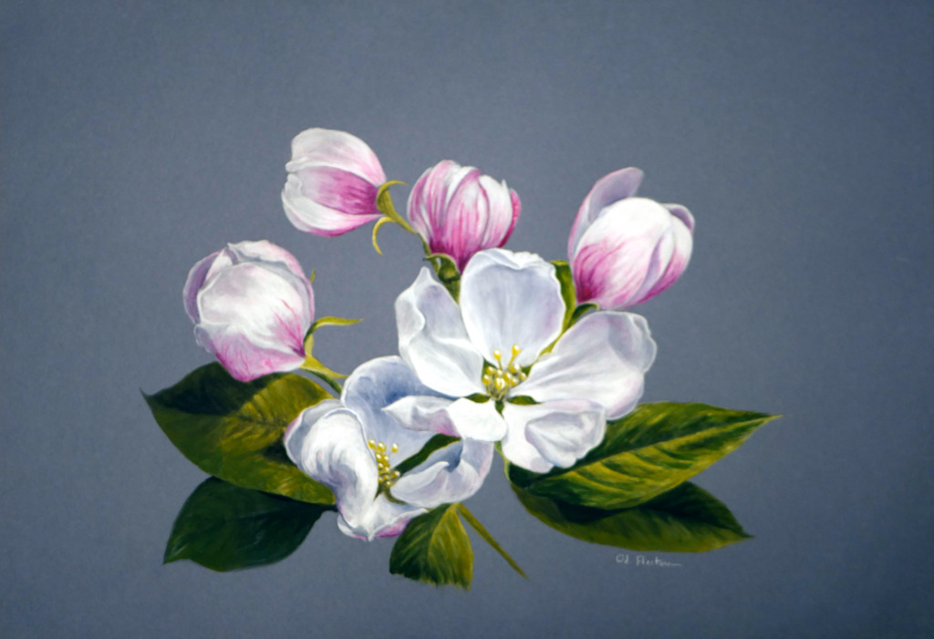 Fleur Tulipier Acrylique