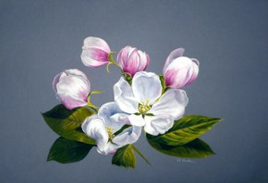 Fleur Tulipier Acrylique