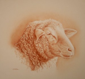 Mouton Sanguine