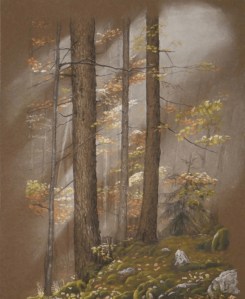 Bois Automne Pastel