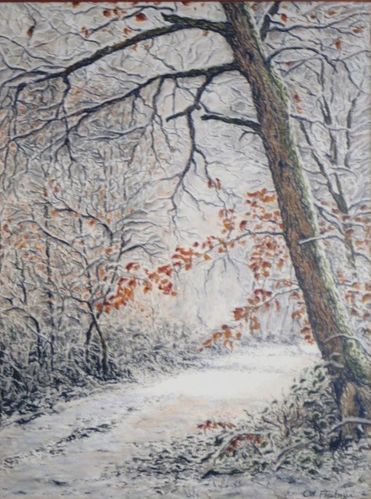 Bois Hivers Neige Pastel