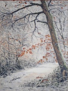 Bois Hivers Neige Pastel