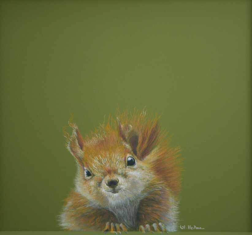 Ecureuil Pastel