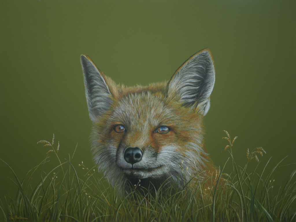 Renard Pastel